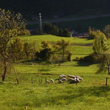 Apartma Zala Most na Soči Exterior foto