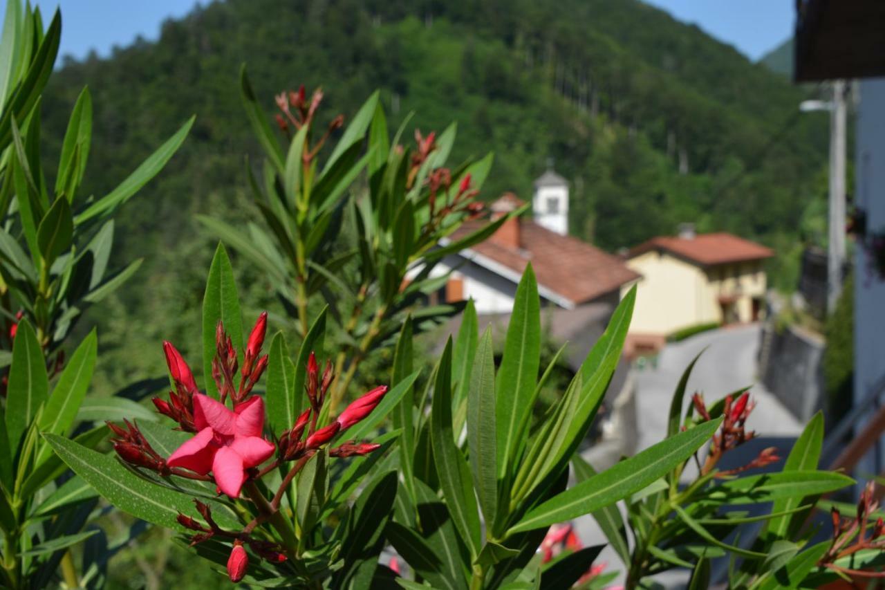Apartma Zala Most na Soči Exterior foto